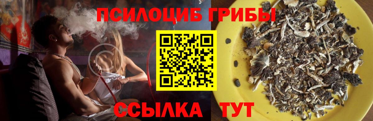Каменск-Шахтинский  Галлюциногенные грибы MAGIC MUSHROOMS  где купить   Вход с VPN 