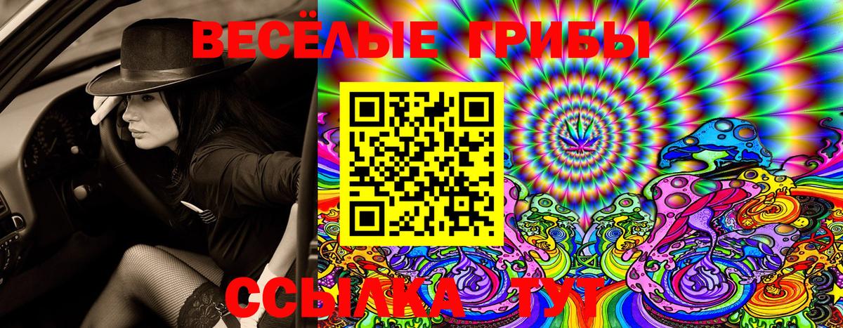 Галлюциногенные грибы Psilocybine cubensis Каменск-Шахтинский
